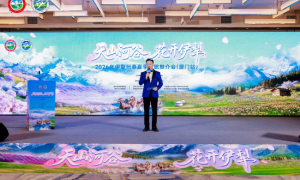 海滨鹭岛邂逅塞外江南 伊犁向海丝门户发出“花与远方”之约