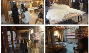 阳光学院数智乡旅实践队赴屏南五镇七村开展社会实践